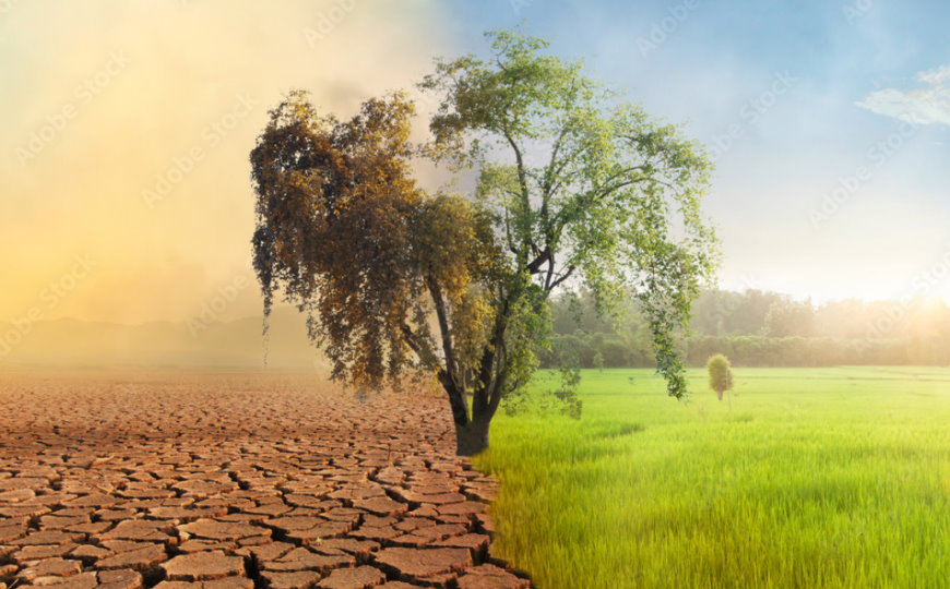 Así es como afecta el cambio climático a la agricultura